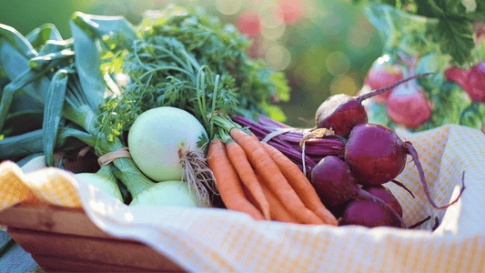 Nutrition Services - Grocery Shopping Trip - Joyful Desert Rose